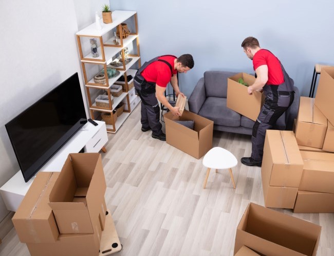 Local Shifting in lucknow